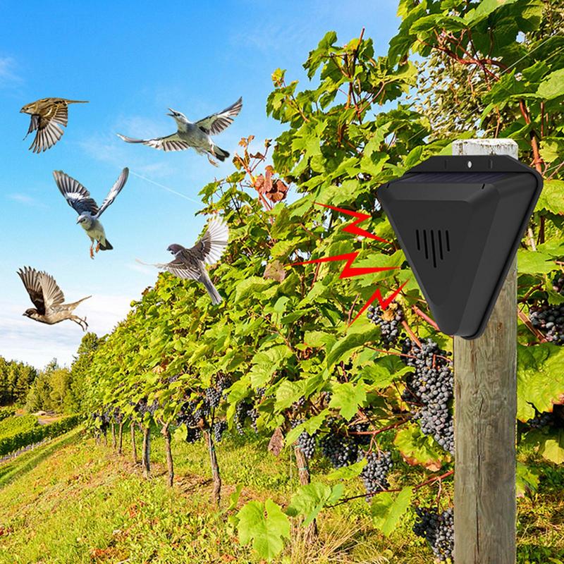 Repelente de pássaros solar à  - Fish Alarm avaliação e preço